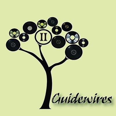 Guidewires, Pádraig Rynne, Tóla Custy, Sylvain Barou, Karol Lynch & Paul McSherry