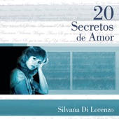 20 Secretos de Amor: Silvana di Lorenzo artwork