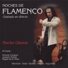 Isaac Vigueras Alegría Noches de Flamenco - Noche Gitana