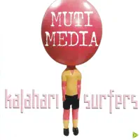 versatile flying options — kalahari surfers