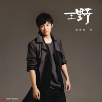 夜夜夜夜 - Single - Wang Ye