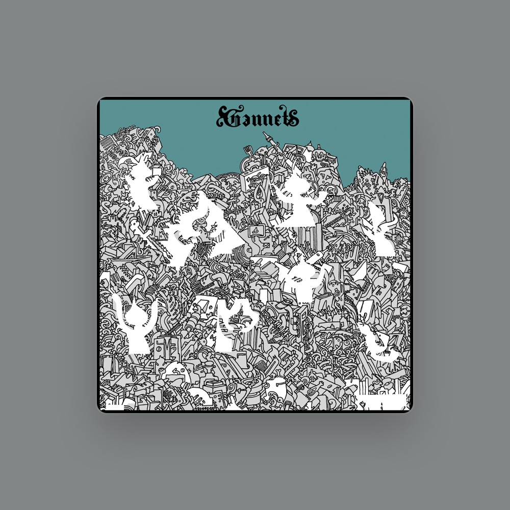 Gannets - Jazz artist