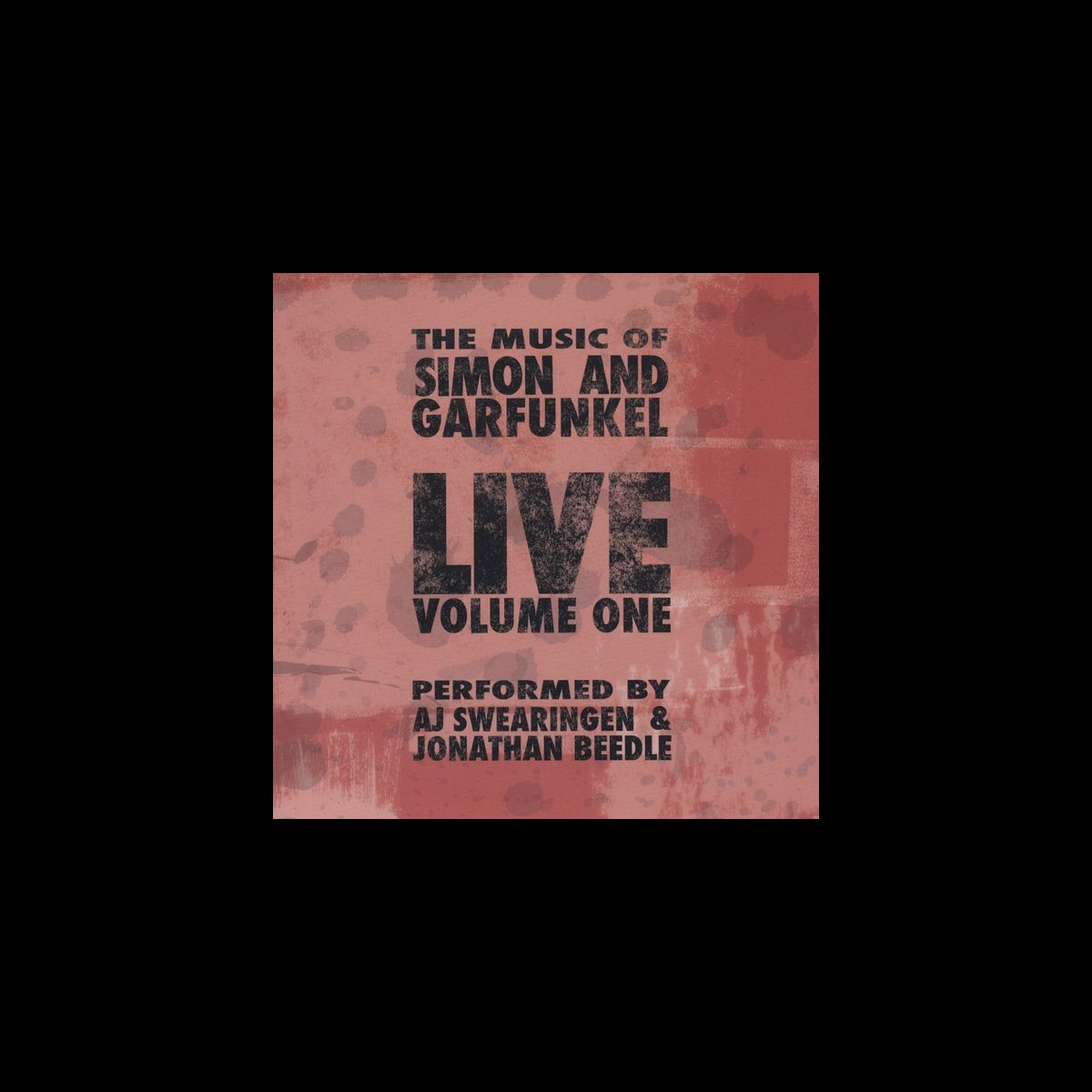 ‎The Music of Simon and Garfunkel Live Album by Aj Swearingen