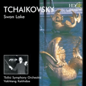 Swan Lake, Op. 20, Act I: No. 4 Pas de trois, III. Allegro semplice