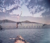 David Wilcox - Stones of Jerusalem