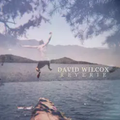 Reverie - David Wilcox Reverie - David Wilcox