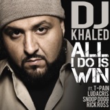 Album artwork for All I Do Is Win