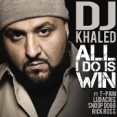 All I Do Is Win (feat. T-Pain, Ludacris, Snoop Dogg &amp; Rick Ross) - DJ Khaled Cover Art