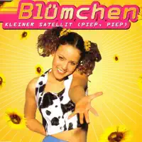 Kleiner Satellit (Satellit In