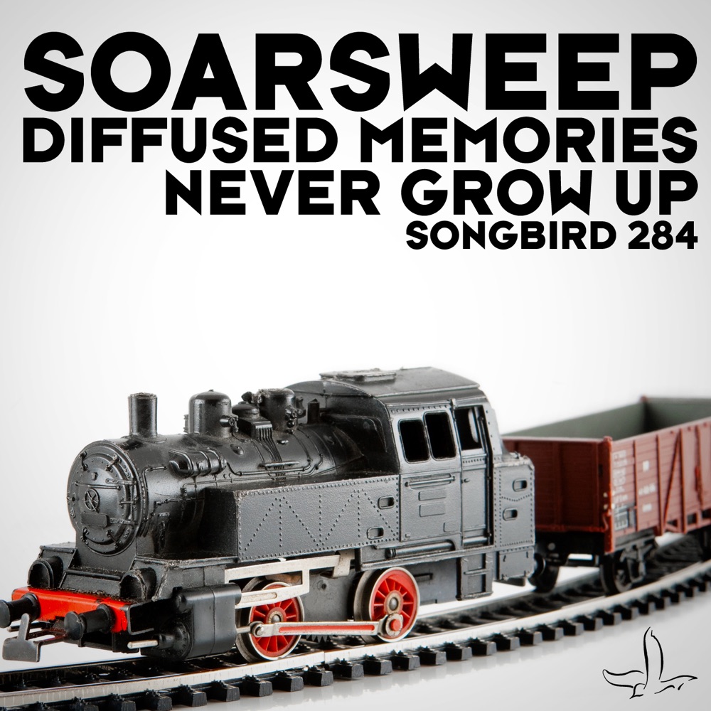 Обложка альбома «Diffused Memories / Never Grow Up - Single» — Soarsweep