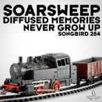 Diffused Memories / Never Grow Up - Single
