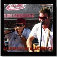 It's Great to Be a Gamecock (feat. Ricky Young) - Single - Longstroke