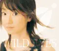 WILD EYES