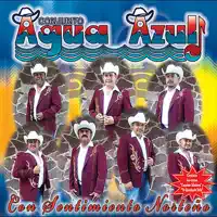 Disculpe Usted — Conjunto Agua Azul