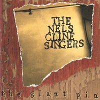 The Giant Pin - Nels Cline