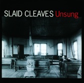 Slaid Cleaves - Racecar Joe