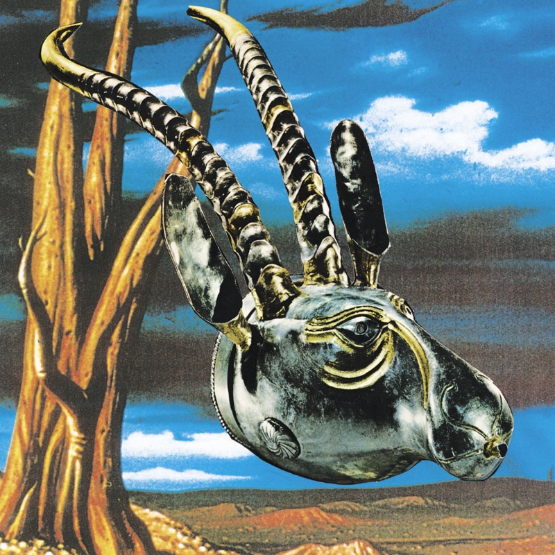 JulieAnne, Patron of Thieves The Skygreen Leopards Song Lyrics, Music Videos & Concerts