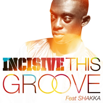 This Groove Ft. Shakka (Radio Edit) - Single