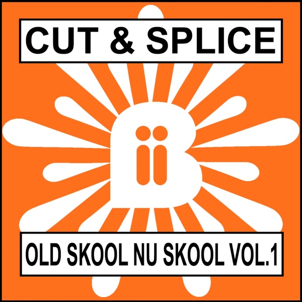 Old Skool Nu Skool Vol.1 - Single