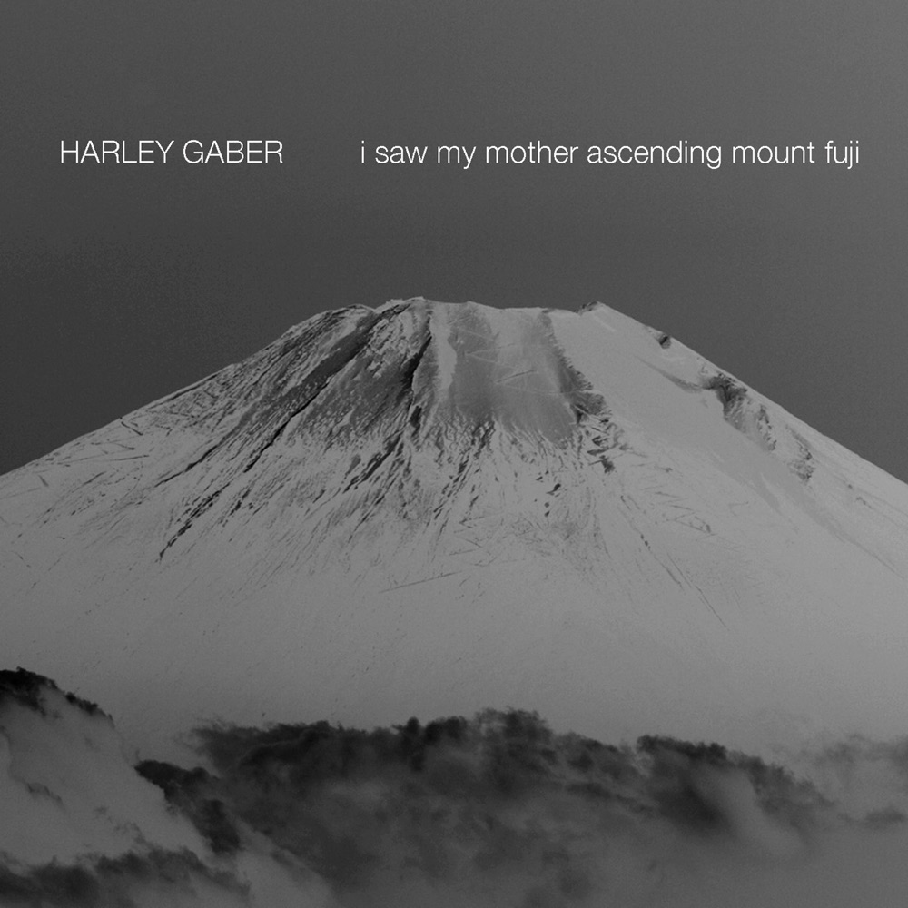 Обложка альбома «Gaber: I Saw My Mother Ascending Mount Fuji» — David Gilbert, Harley Gaber & Linda Cummisky