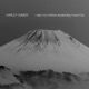 Gaber I Saw My Mother Ascending Mount Fuji