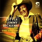 Hillbilly Fever