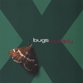 Bugs Multiply - bugs multiply