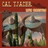 Cal Tjader - Manuel's Mambo
