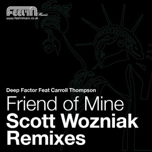 Friend of Mine : The Scott Wozniak Remixes