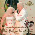 Ohne Dich da bin ich allein