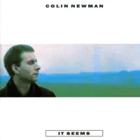 Si Tu Attends — Colin Newman