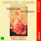 Sonata for Mandolin and Fortepiano In D Minor: I. Allegro (Hoffmann) artwork