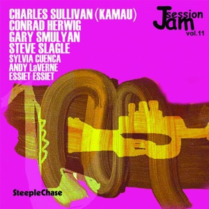 Jam Session, Vol. 11