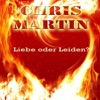 Liebe Oder Leiden (DJ Mix)