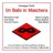 Un Ballo in Maschera: Ella e pura