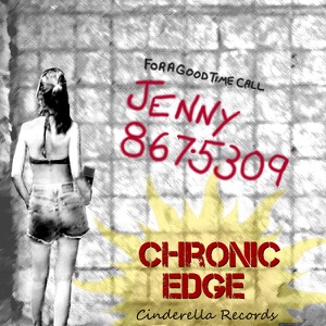 Jenny 8675309 - Single