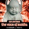 Can You Hear the Voice of Buddha (Radio Mix) - Rondokraft & Steve K. lyrics