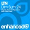 Dim Sum 24 (Norin & Rad Remix) - LTN lyrics