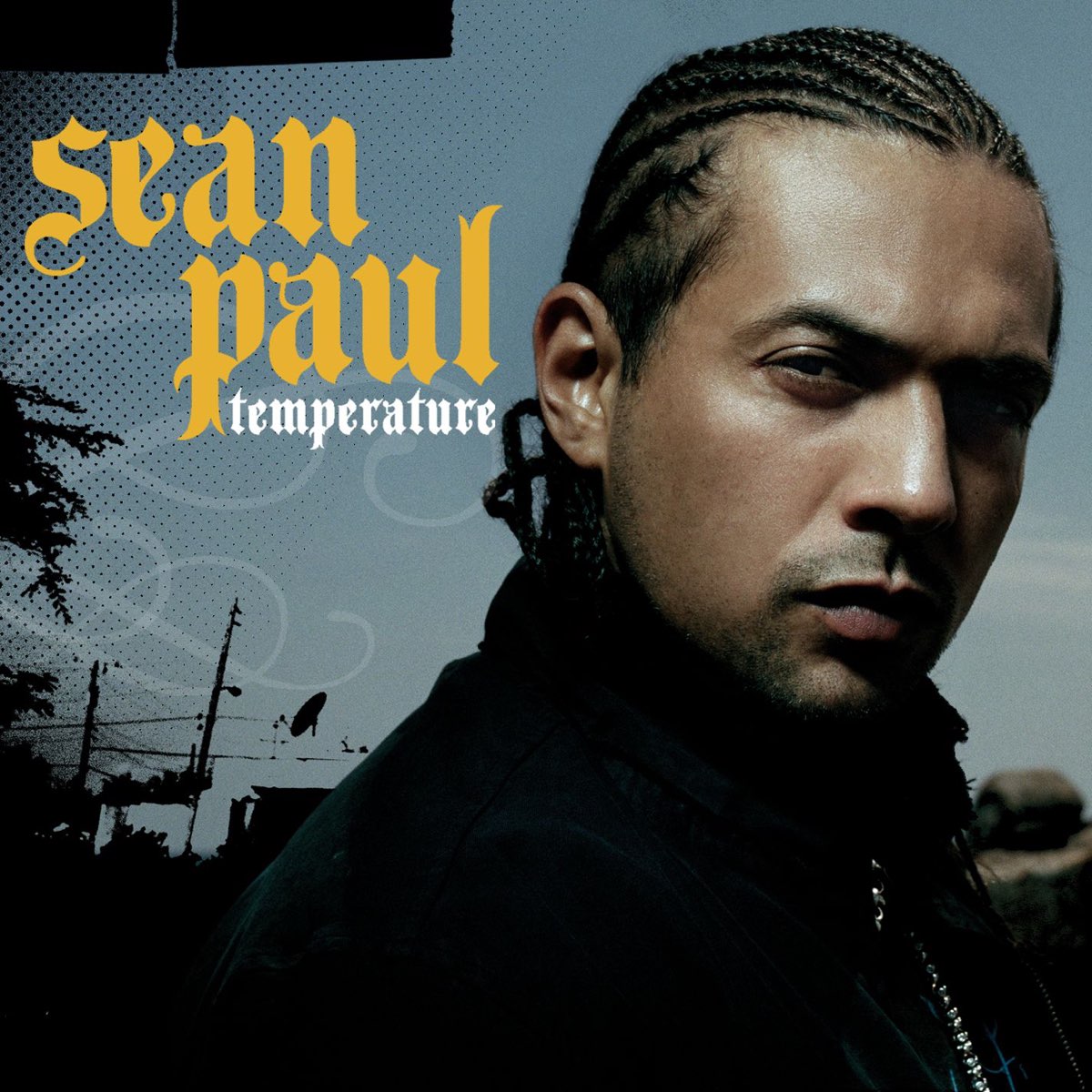 ‎Temperature Single Album by Sean Paul Apple Music