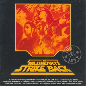Strike Back