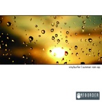 Summer Rain - EP