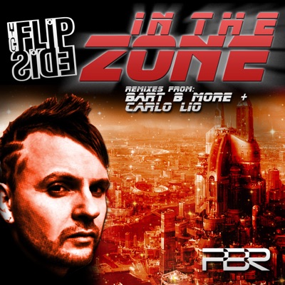 In the Zone (Remixes)