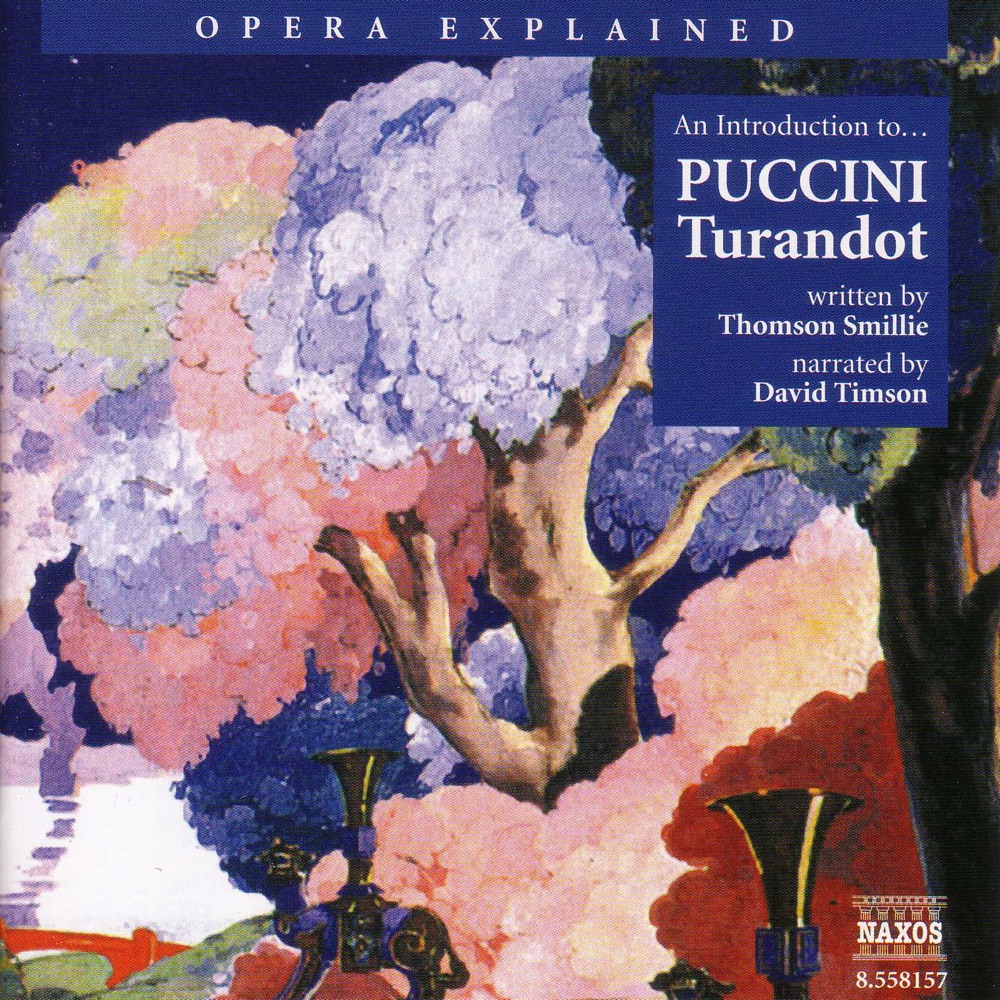 Обложка альбома «Puccini: Opera Explained - Turandot» — David Timson