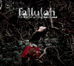 The Black Cat Neighbourhood - Fallulah Cover Art