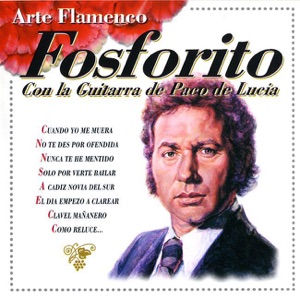 Arte Flamenco, Vol. 1