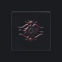 Lucid
