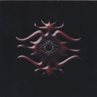 Digging Through - Lucid