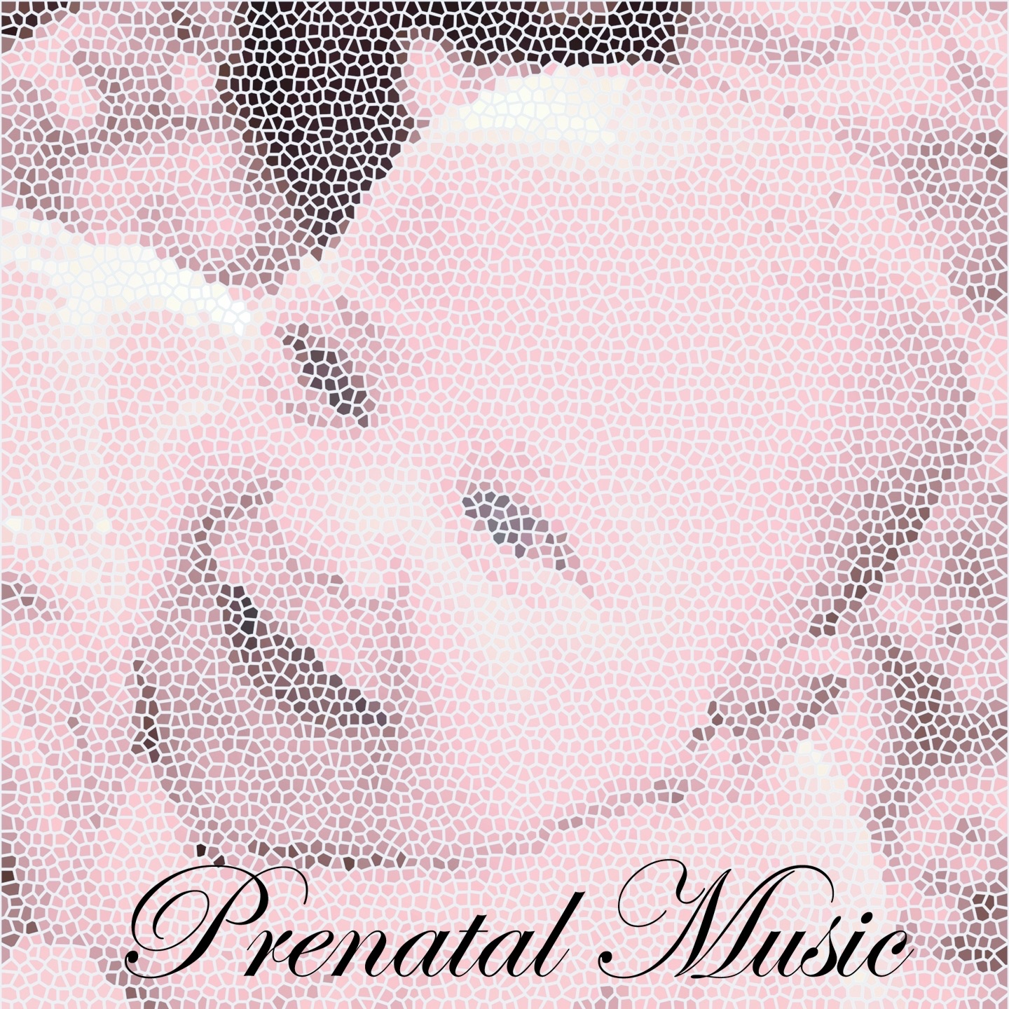Prenatal Music