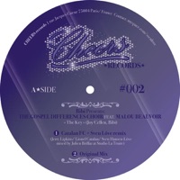 The Key (feat. Malou Beauvoir) - EP - BIBI Presents The Gospel Differences Choir