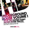Underground House, Vol. 1